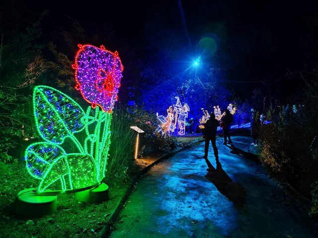 WYCIECZKA  OGŁOSZENIE  – brak miejsc