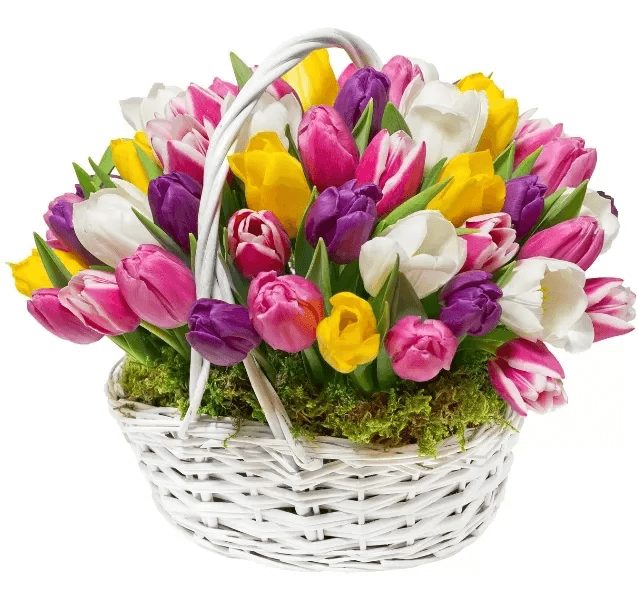 ŻYCZENIA W DNIU KOBIET