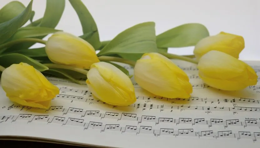 WIOSNA I PRZYRODA CZYLI MUZYKA ILUSTRACYJNA