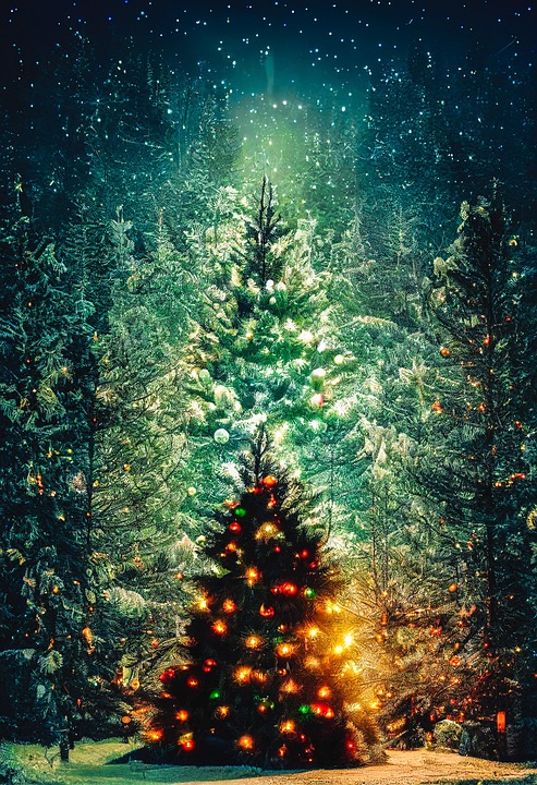 WSZYSTKIM WESOŁYCH ŚWIĄT