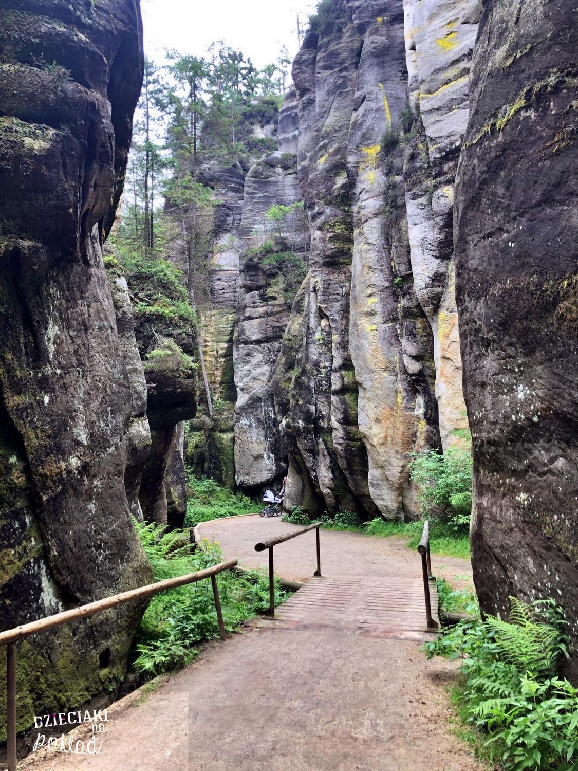 Wycieczka Tajemniczy Dolny Śląsk 23-26.06.202